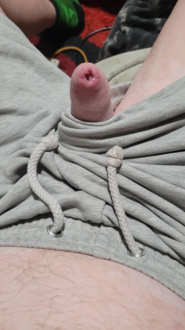 My cocks just popped out to say hello. Grey shots. posted by LegitimateAnt3655