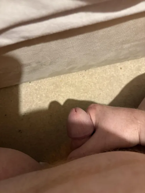 My cut cock by House666