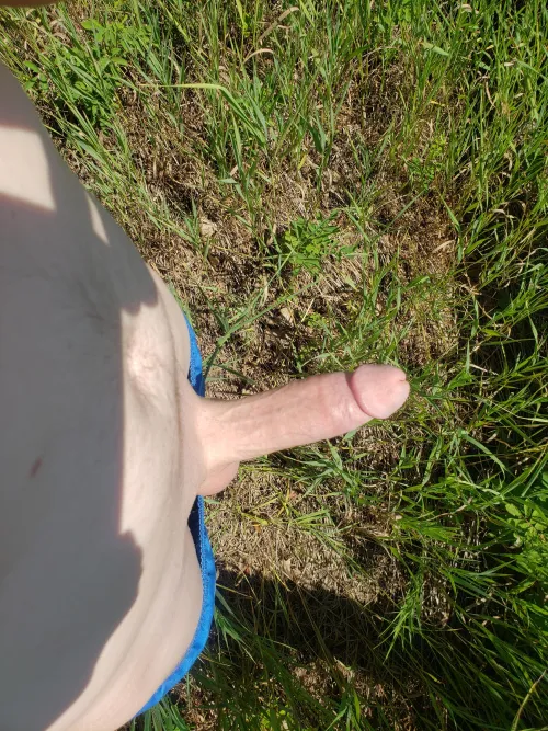My dick is always hard when I pull it out outside by Mindless_Reward_9909