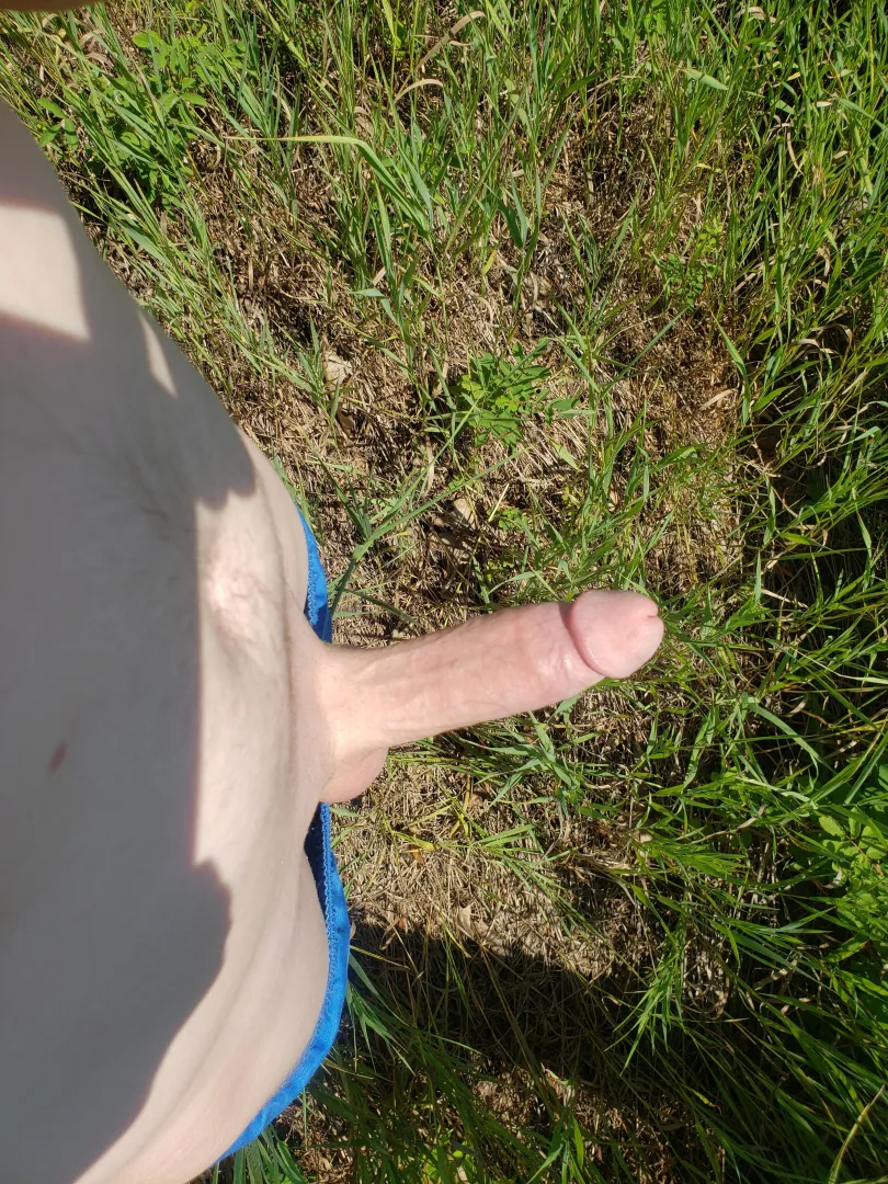 My dick is always hard when I pull it out outside posted by Mindless_Reward_9909