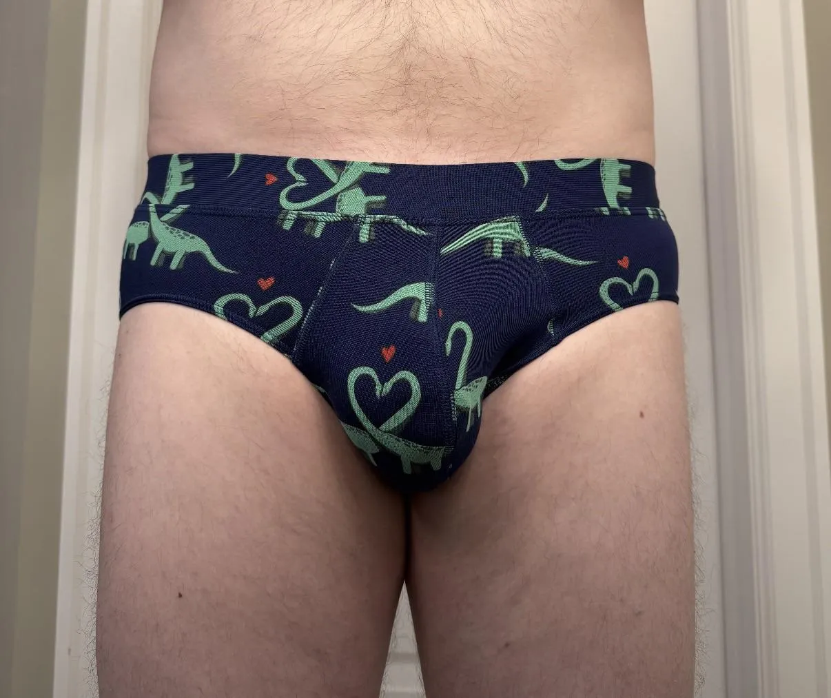 My Dino Briefs posted by TWCanadian