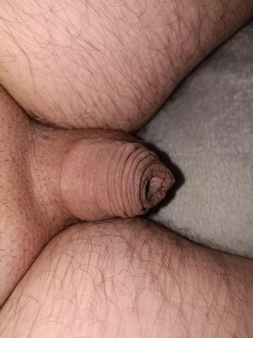 My effort  by Alarmed-Card-1069