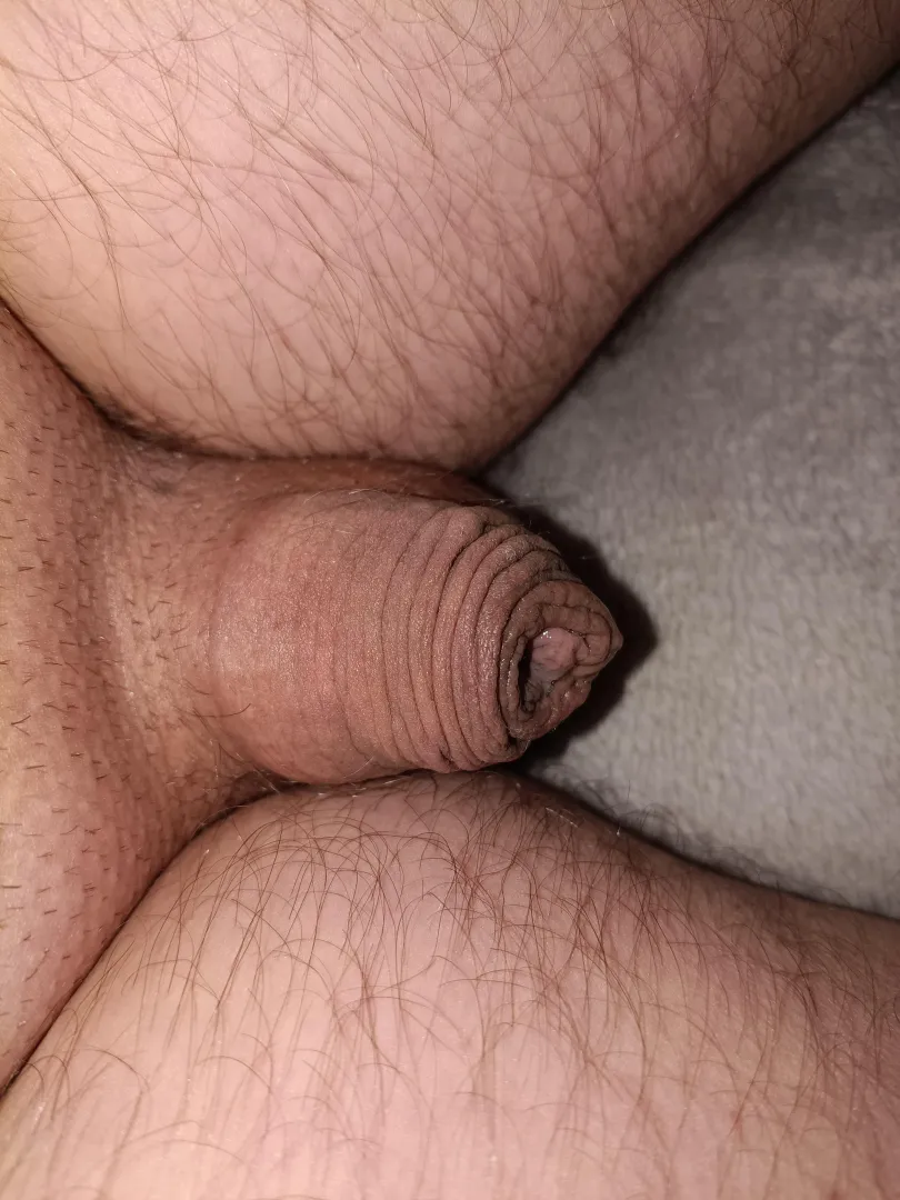 My effort  posted by Alarmed-Card-1069