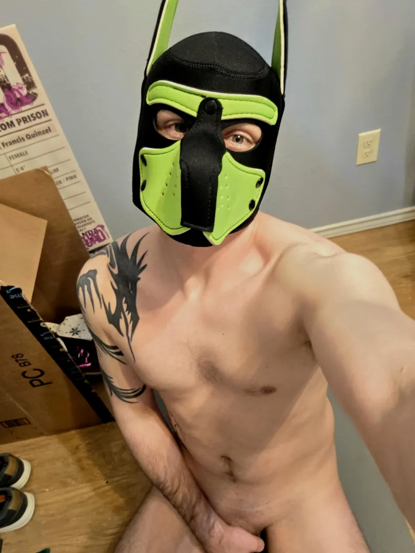My first mask, am I good boy? posted by aRedJester