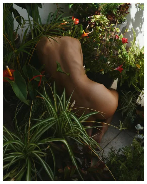 My home plants by Linartica