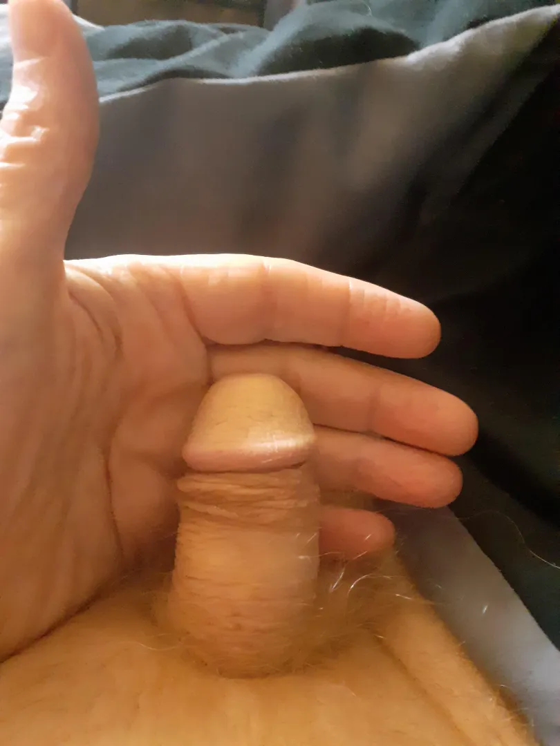My little dick says hi posted by Dry-Hall-2479