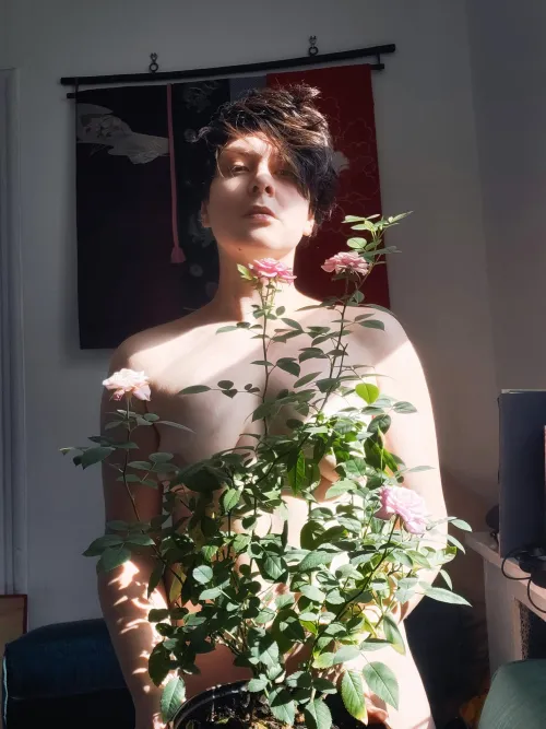 My little rose garden by icednyalatte