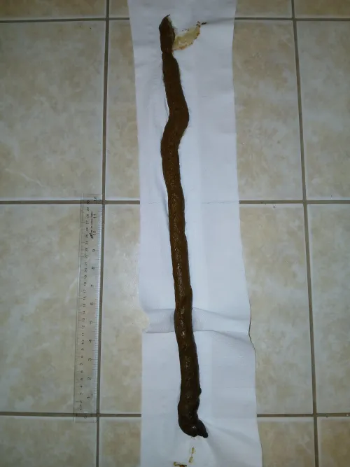 My long uninterrupted turd by Jacques_Paquage