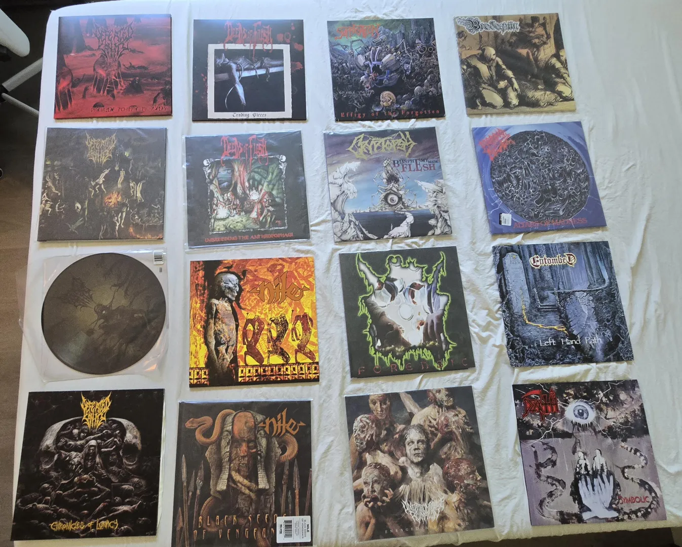 My modest collection posted by trager53_