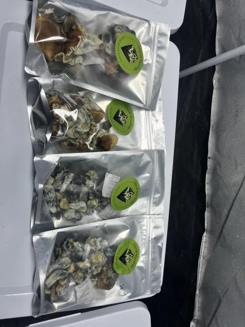 My mushy stash by ElectronicIssue8781