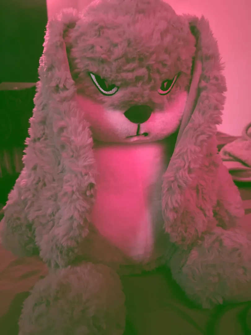 My new bun <33 posted by primadonnaganja