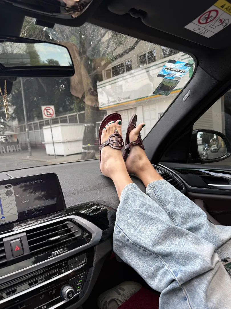 My new torys posted by Content-Student-3092