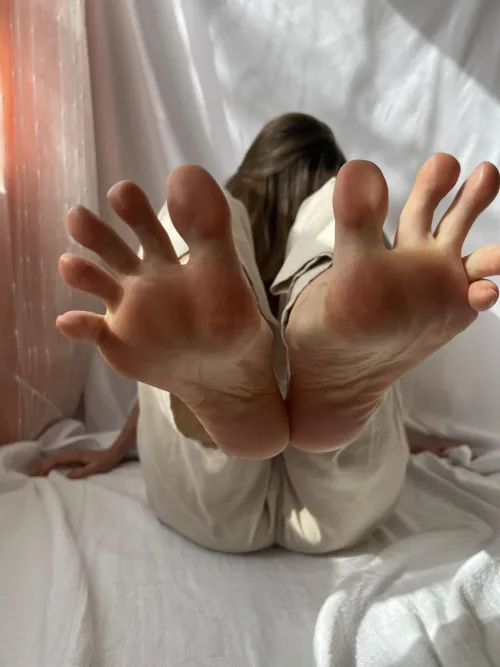 My paws rule the frame by prettyevilx