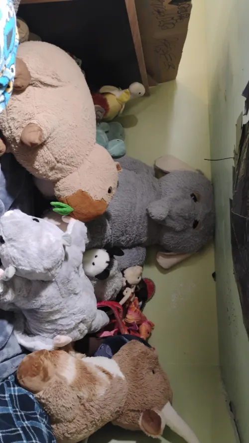 My plushie showcase by Esoteric_Ghoul