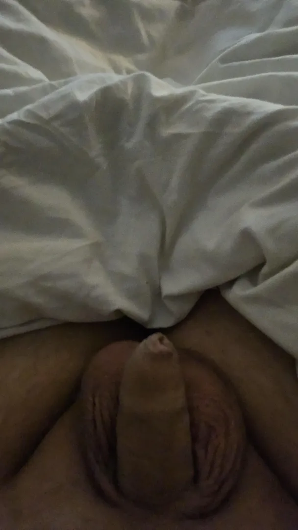 My small flacid dick posted by WildBother3296