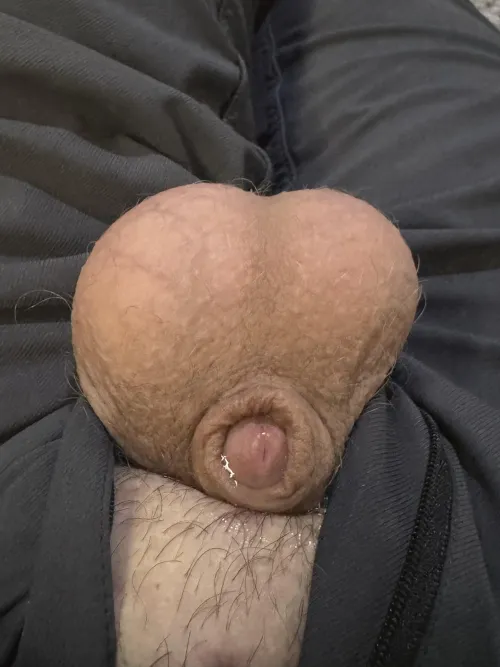 My small leaky cock by That_randomguy22