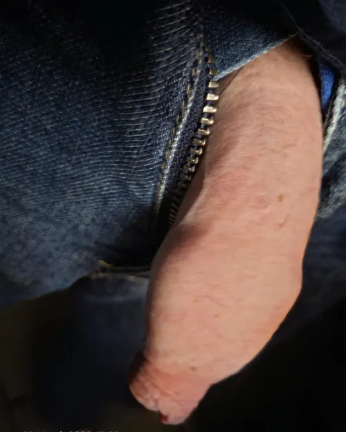 My snout poking out. by redbeardeddragon1984