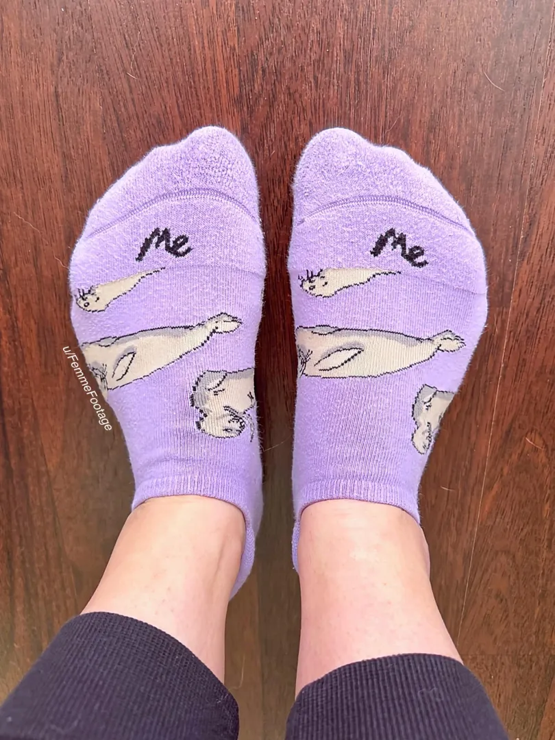 My sock-covered toes are looking for a cum soaking!  posted by FemmeFootage