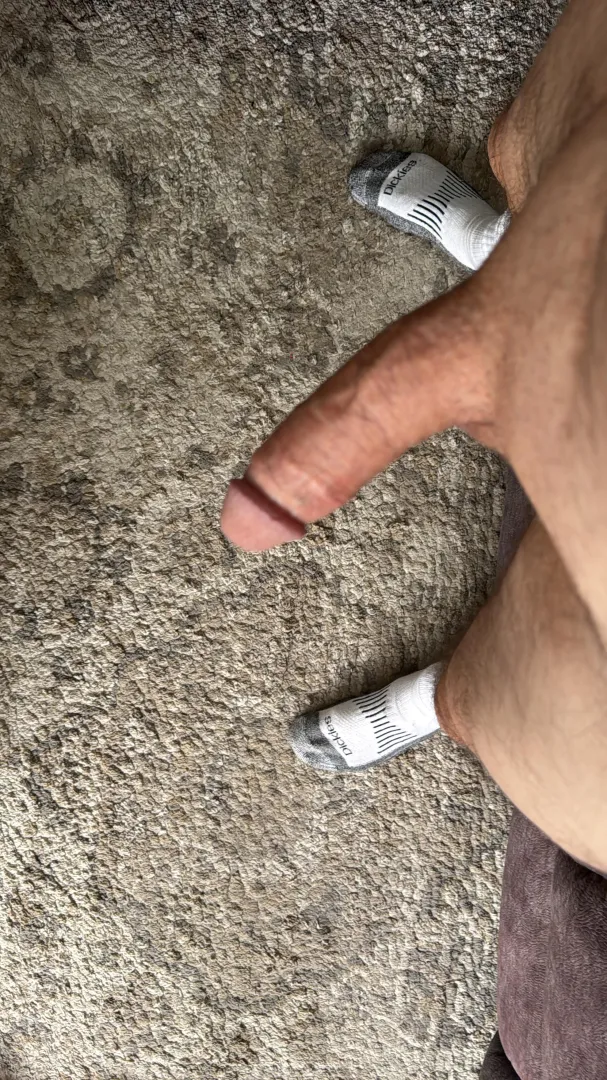 My socks today posted by 69bulgelover