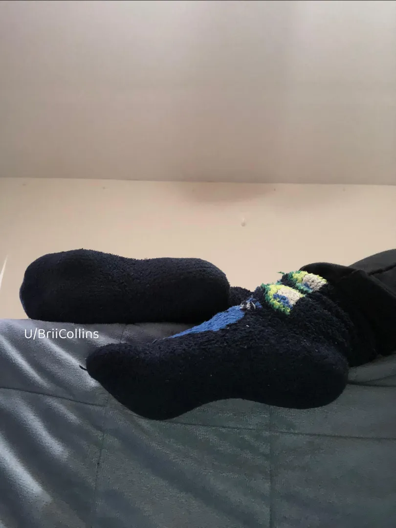 My soft fuzzies are addictive  posted by BriiCollins