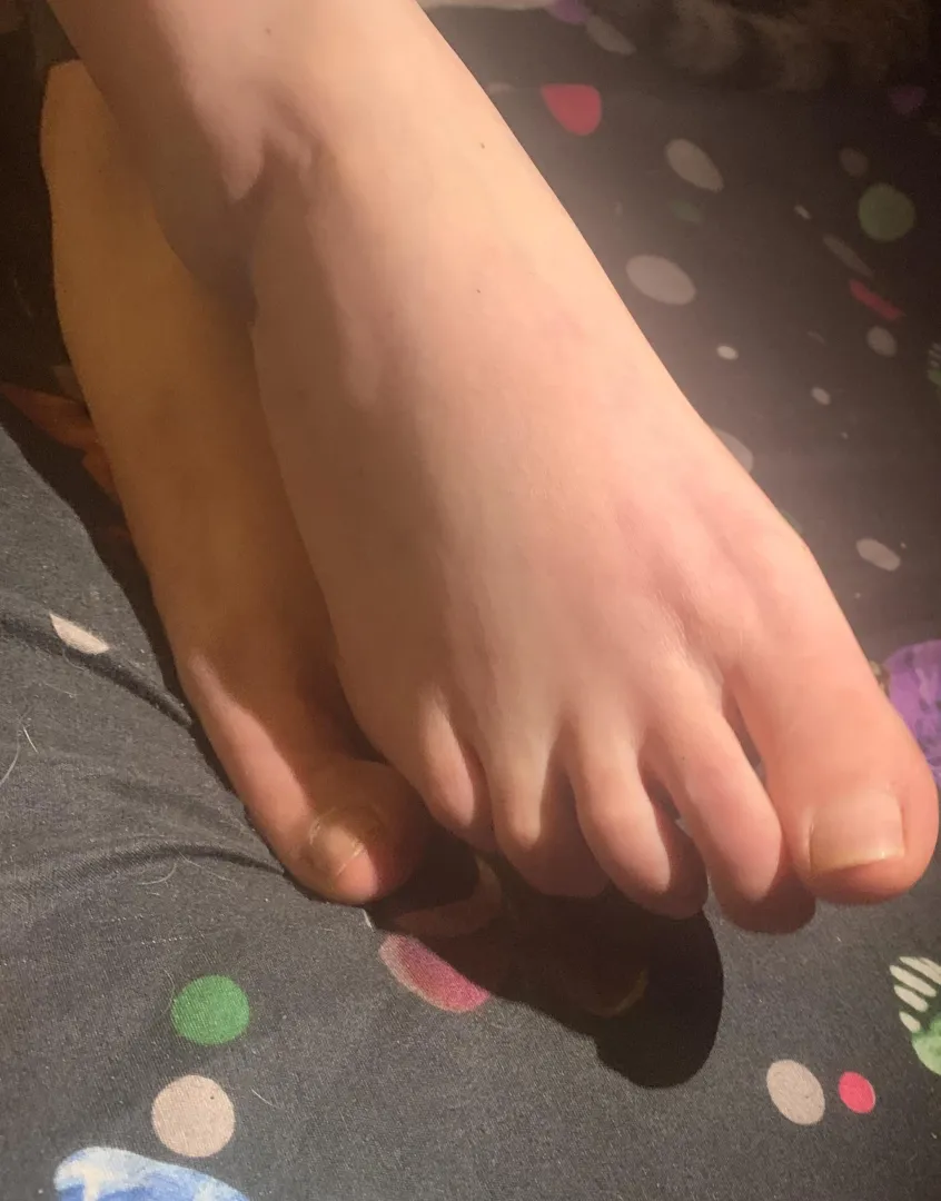 My soft Hungarian feet are ready for your custom requests!  DM me for photos/videos. 48h delivery, PayPal F&F. Let's chat! posted by bunhoneyreal