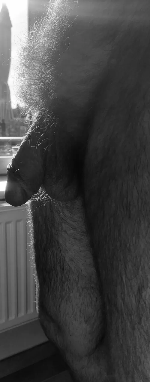 My soft one in his hairy nest by thierry6488