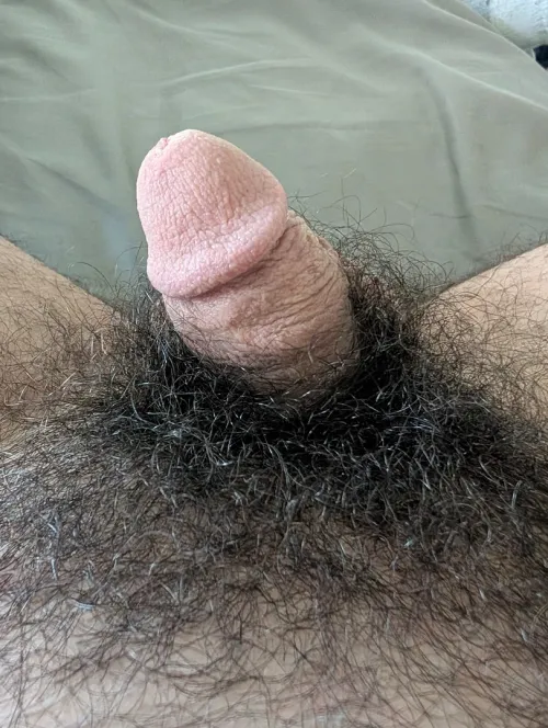 My soft penis by Rod-Hard7