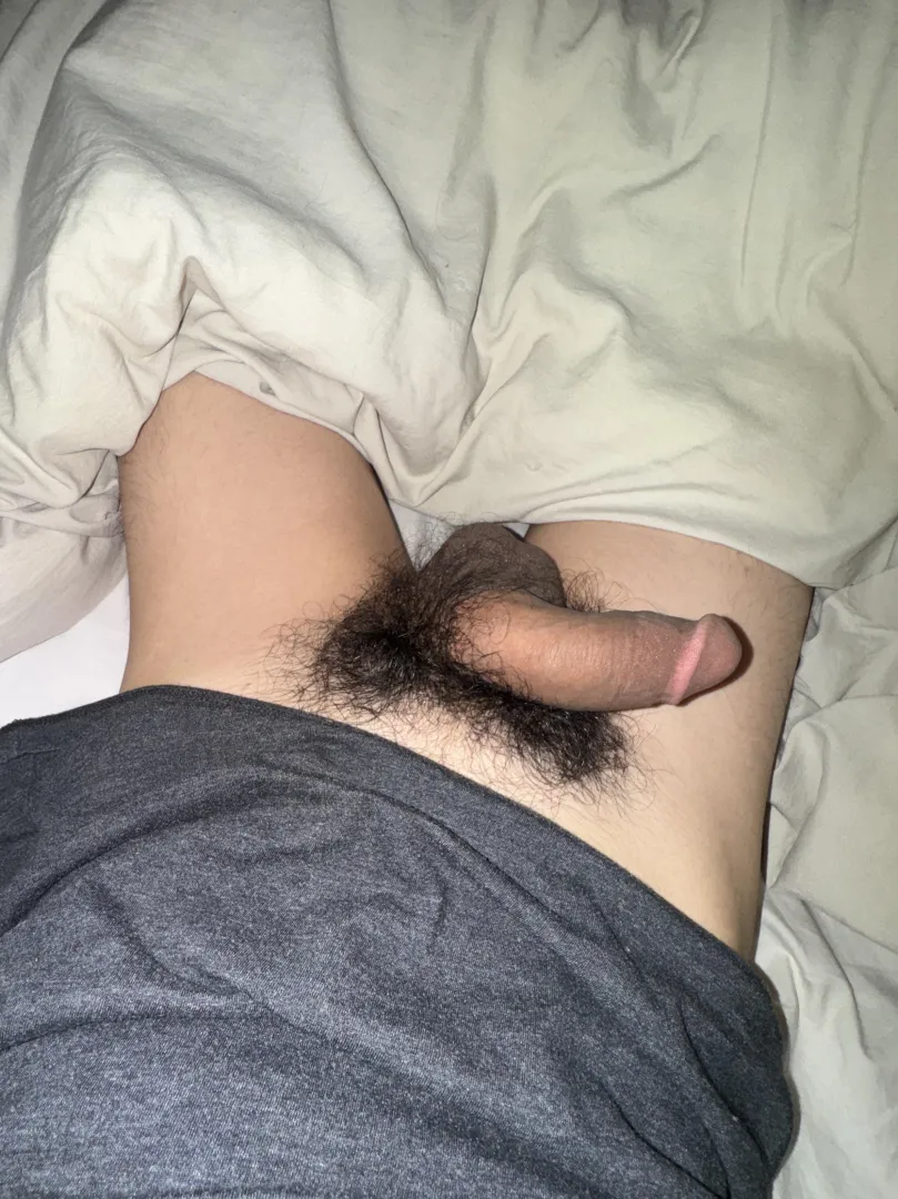 My softy posted by Rare-Dog-1390