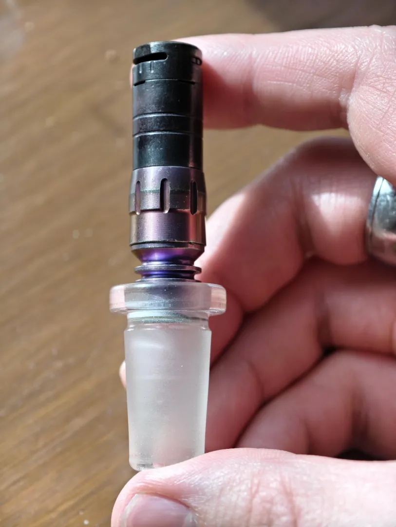 My Tempest is over 1 years old posted by EternalSusano