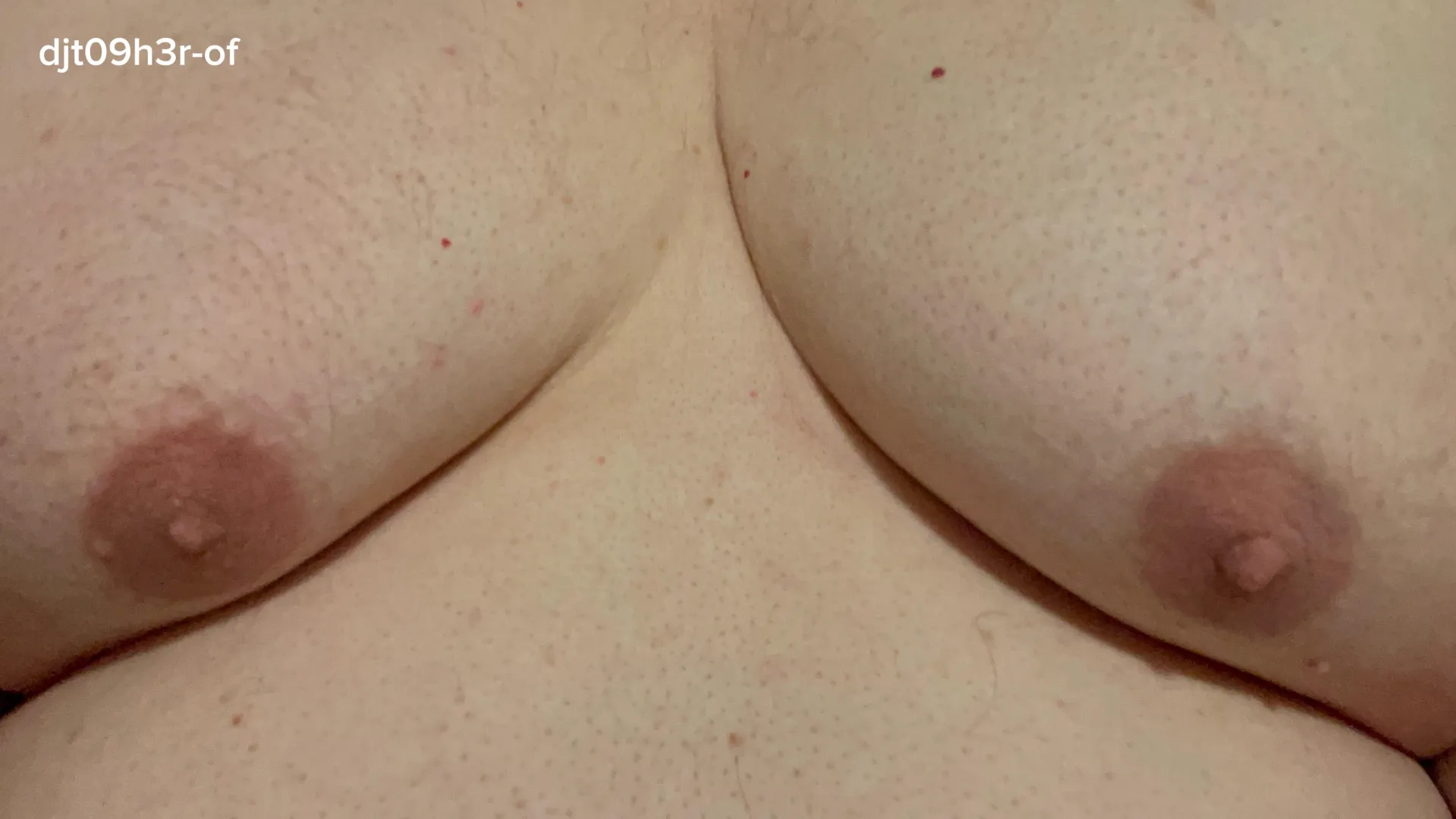 My tits, please enjoy. posted by djt09h3r-of