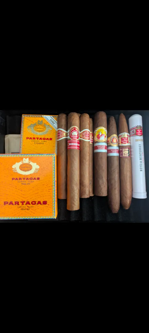 My travel case by Embarrassed-Ad-2080