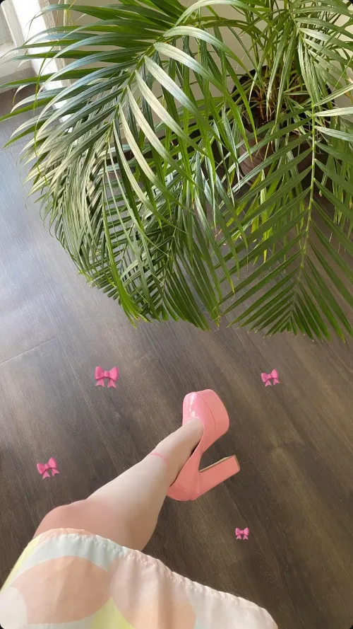 Naber by Better_Lobster_7078