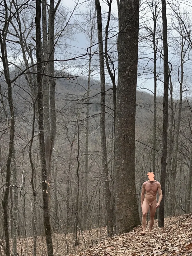 Naked. In the woods. posted by bareassadventures