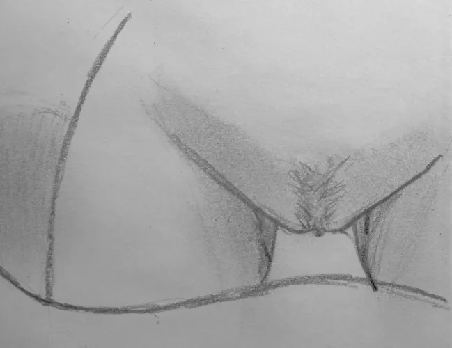 Nami's bush (not original, used reference) by Jaded-Director8198