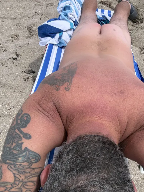 Napping in the sunshine by ZeppoBeeblebrox