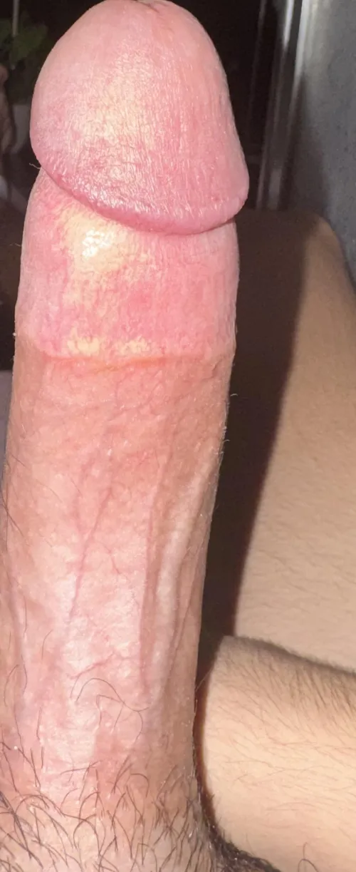 Nasıll by Traditional_Bar8169