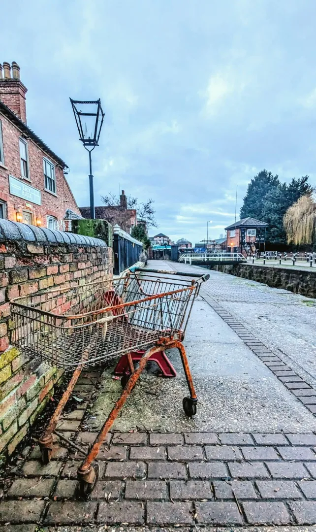 Nature is truly remarkable posted by Icy_March_8166