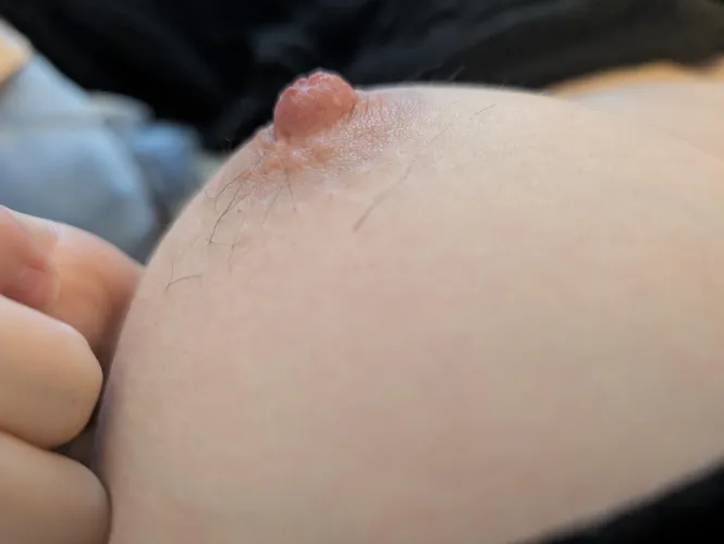 Nearly time to pluck by EveYourApple