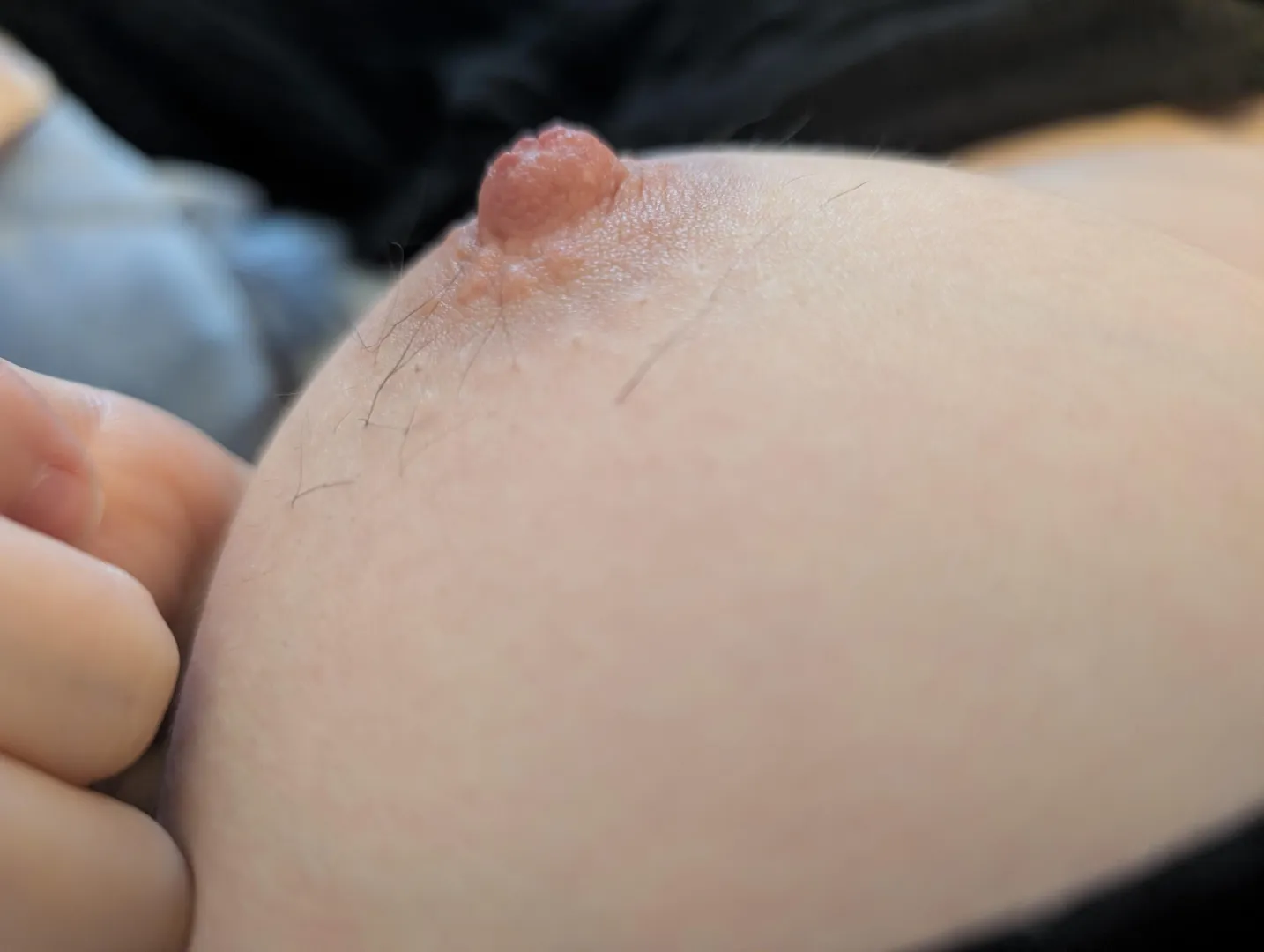 Nearly time to pluck posted by EveYourApple