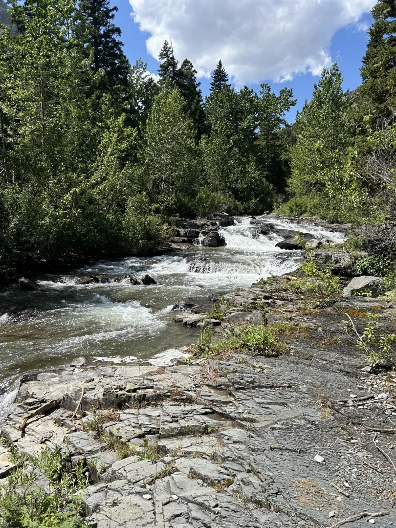 Need a bi bottom near greatfalls or billings. No older then 45 or under 30. Couples are possible if male is bi. posted by [deleted]