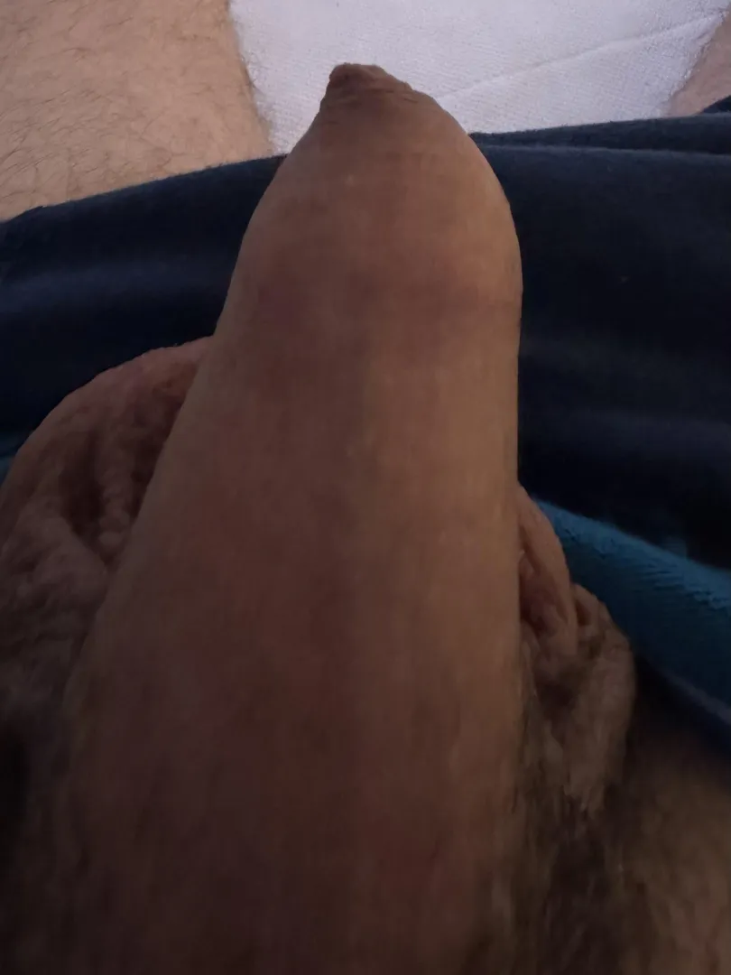 Need a boner posted by joenixu