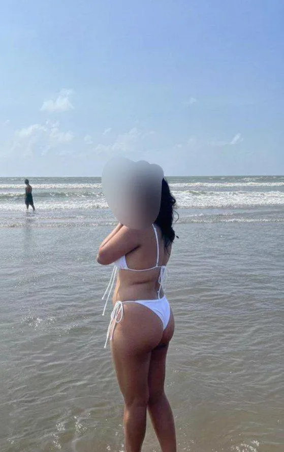 Need a good no limit bull for my partner posted by QuietAnt2041