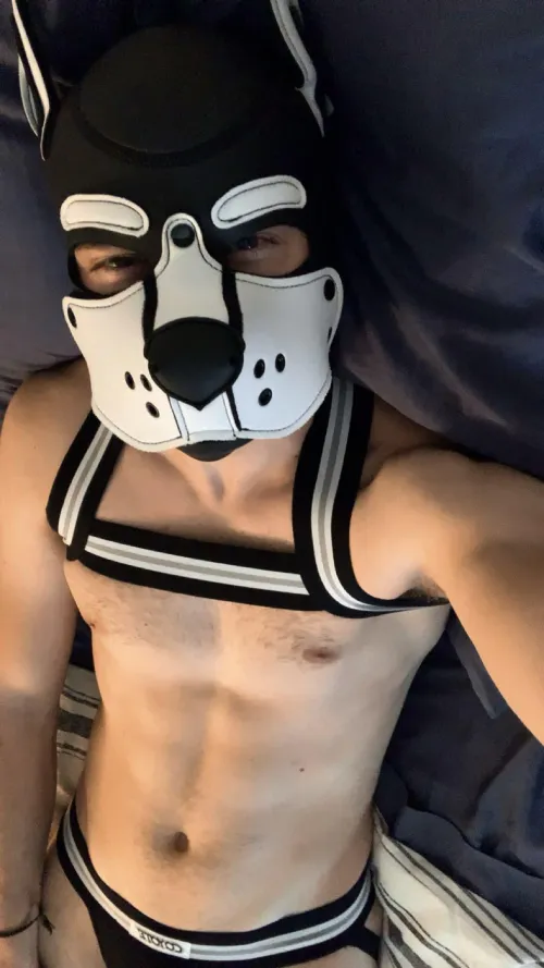 Need cuddles in bed  by PupZane