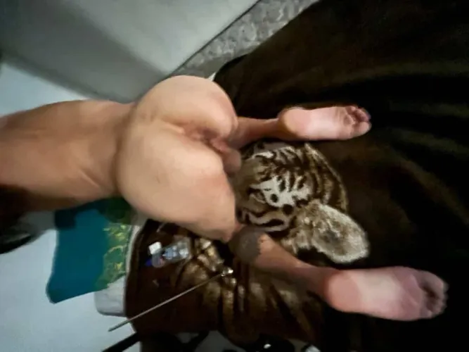 Need my ass bigger by Basic-Cicada-5100