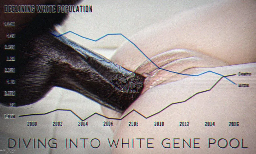 need someone to genuinely brainwash me with bnwo and data like this  posted by HighlightOk121