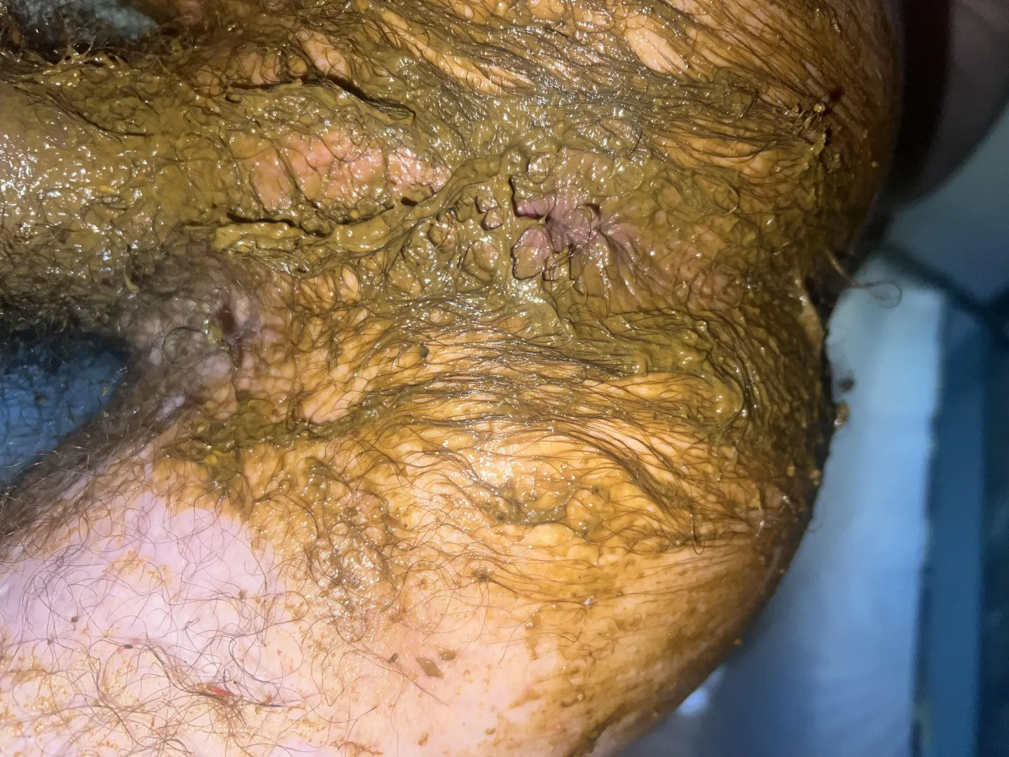 Need to shit on a thick cock that’ll dig out my ass posted by Shoddy_Reaction_127