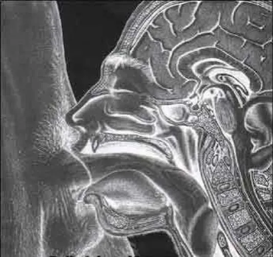 Need your best throat? 26M looking to suck by Ict2023