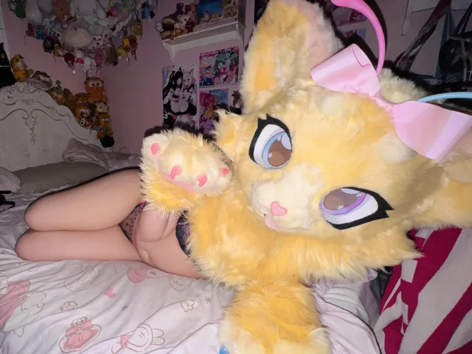 needy kitty by JelliesBelly