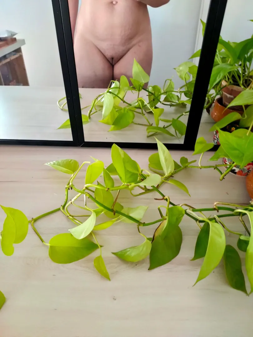 Neon pothos and...a shy french mama   posted by NinaFrenchMom