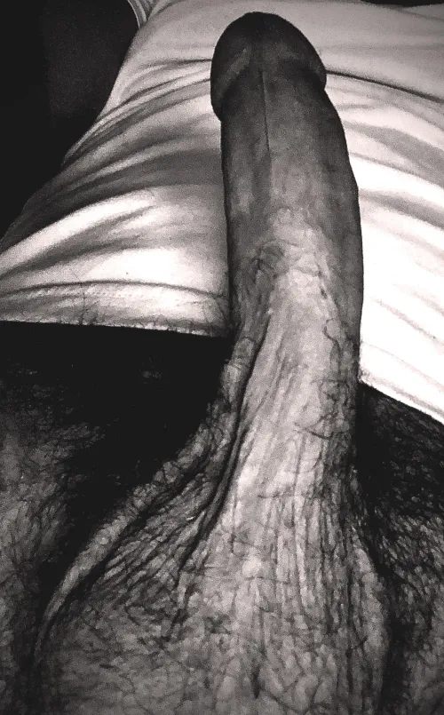 New account same cock by burghherout